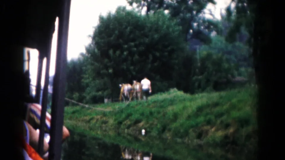 Rural Maryland riverbank view with cows and people near dense trees, filmed from a ferry-side perspective in 1961.