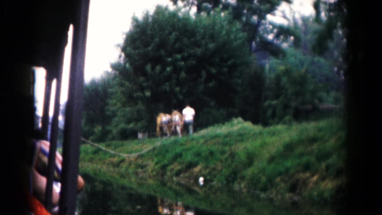 Home-movie frame of cows and people on a lush riverbank near Hagerstown, Maryland, with the ferry edge visible at left.