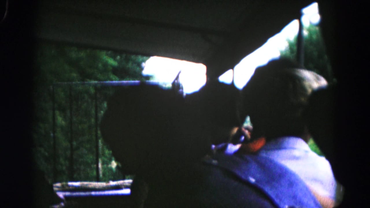 A boy in a light shirt sits in profile near a window overlooking trees.