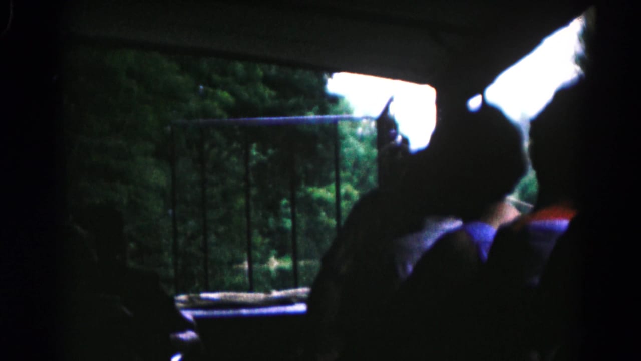Silhouetted passengers inside a boat look out toward trees and a railing by the water.
