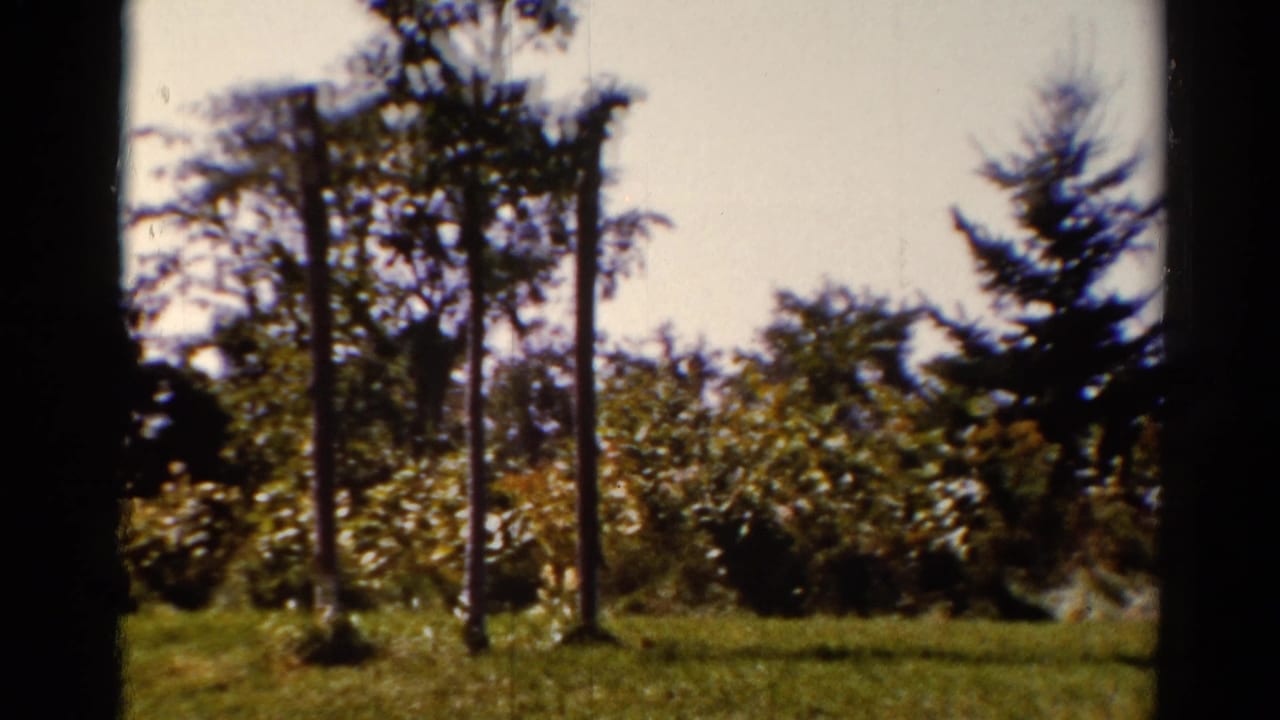 Catskill, New York home-movie frame with lawn, supported trees, shrubs, and a dark film-frame divider.
