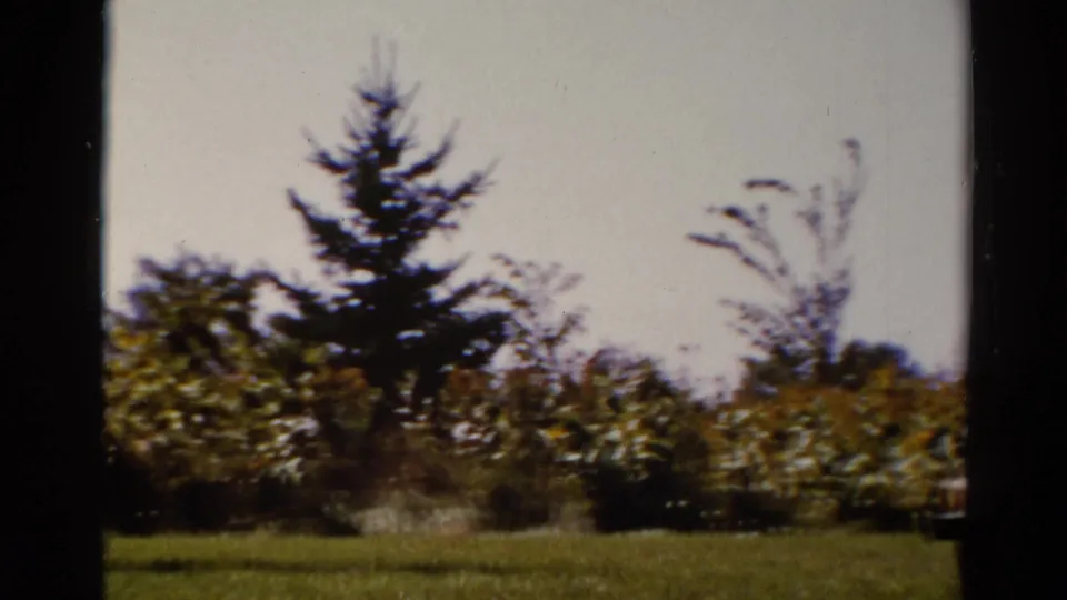 Catskill-area 1962 home-movie frame with an evergreen, surrounding shrubs, lawn, and soft film exposure.