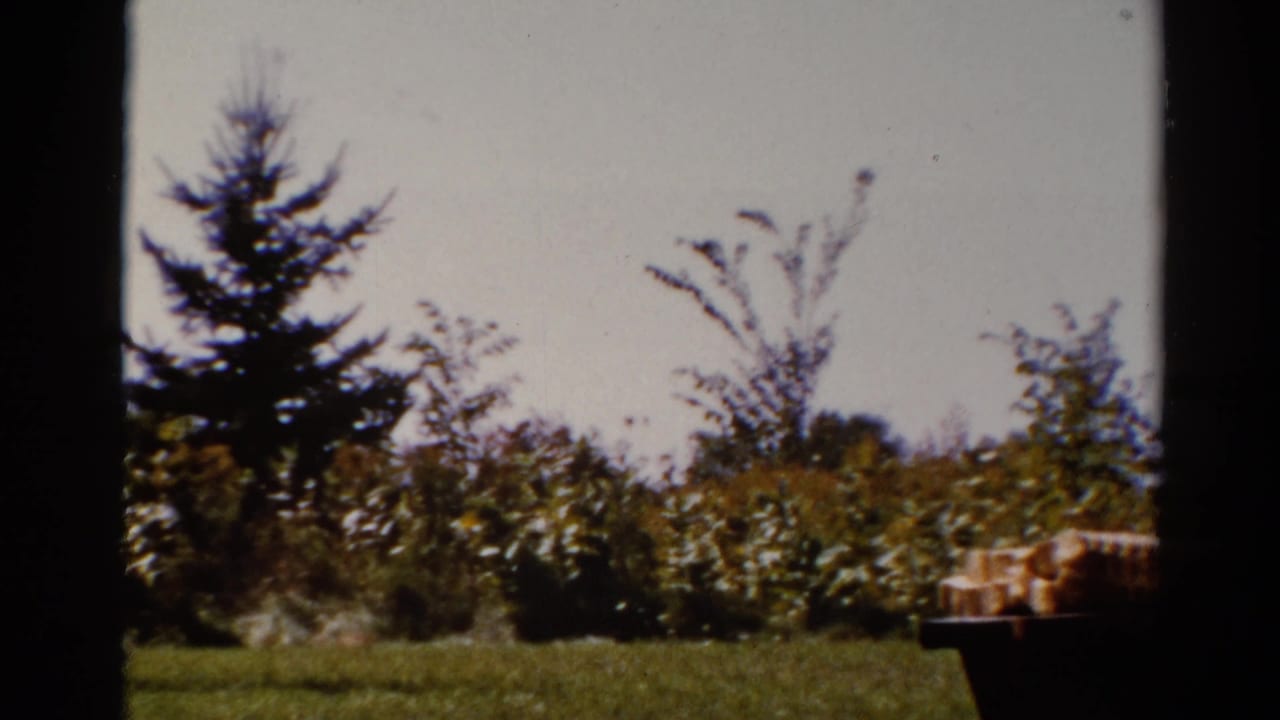 1962 Catskill home-movie frame showing a grassy yard, dense shrubs, small trees, pale sky, and a picnic table seen from shade.