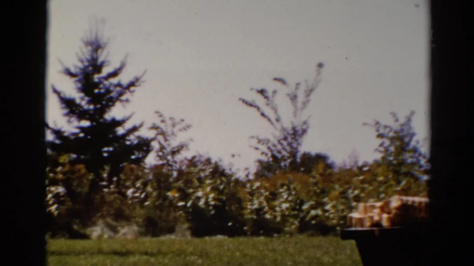 1962 Catskill home-movie frame showing a grassy yard, dense shrubs, small trees, pale sky, and a picnic table seen from shade.