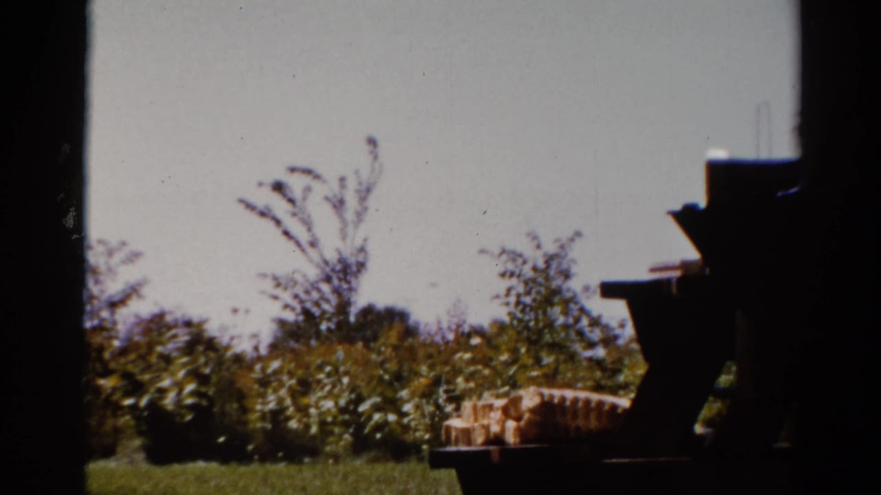 Picnic table in a sunny yard with shrubs behind it and dark silhouetted objects at the right edge.