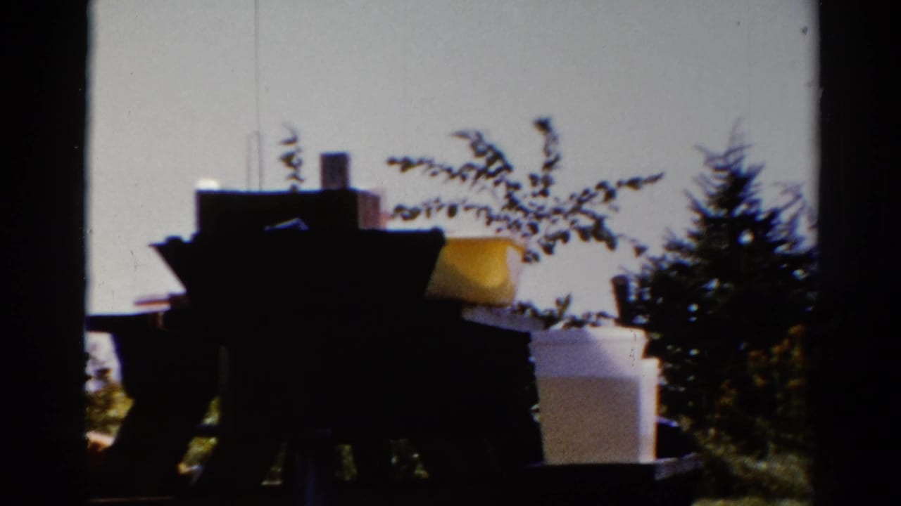 Dark outdoor table with a white box and yellow container against trees and bright sky.