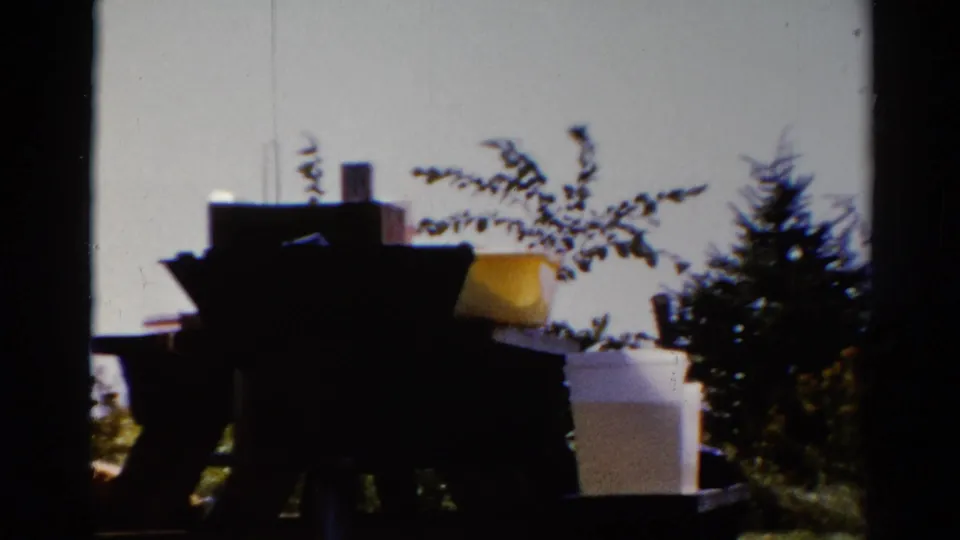 1962 Catskill home-movie frame showing a dark table, white box, yellow container, shrubs, evergreen trees, and bright sky.