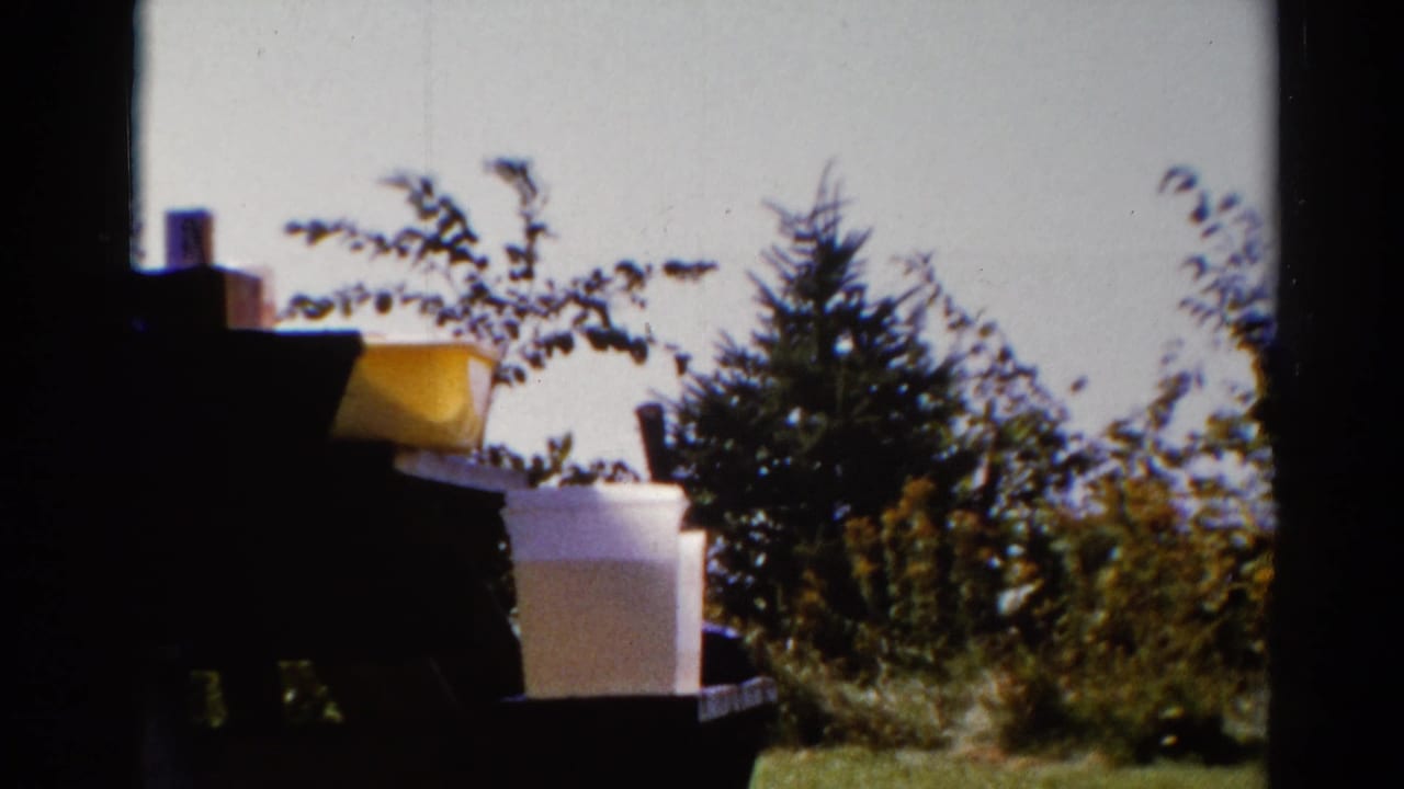 White box and yellow container on a dark table with trees and shrubs behind them.