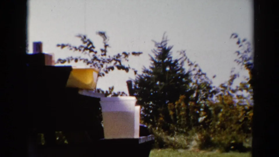 1962 Catskill outdoor frame with a white box and yellow container on a dark table, backed by evergreen trees and foliage.