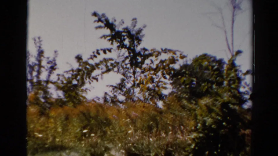 The final frame holds on the grassy Catskill setting, with shrubs and small trees visible and no person clearly centered.