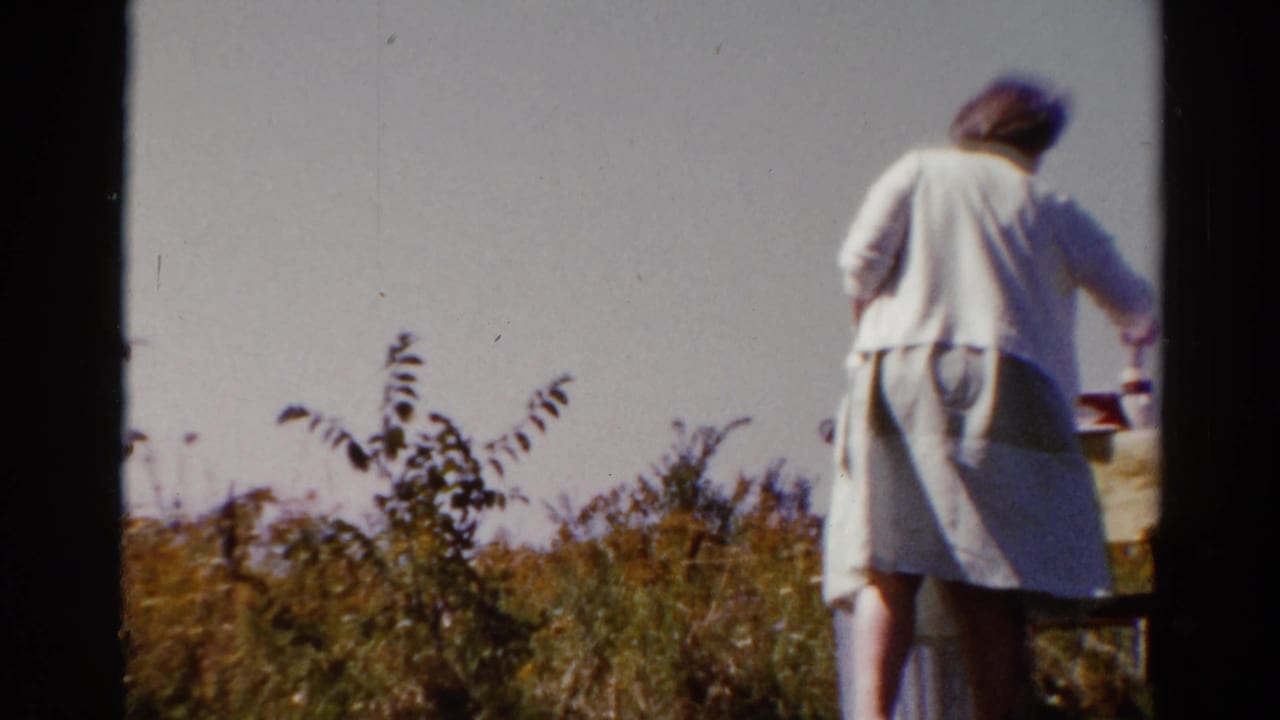 The woman is seen from behind beside a cloth-covered picnic table in a sunlit Catskill field clearing, 1962.