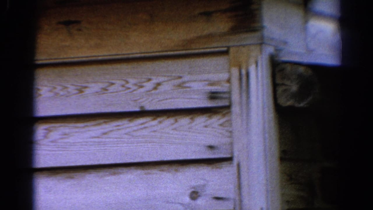 Weathered horizontal boards and exterior trim seen through dark foreground framing.