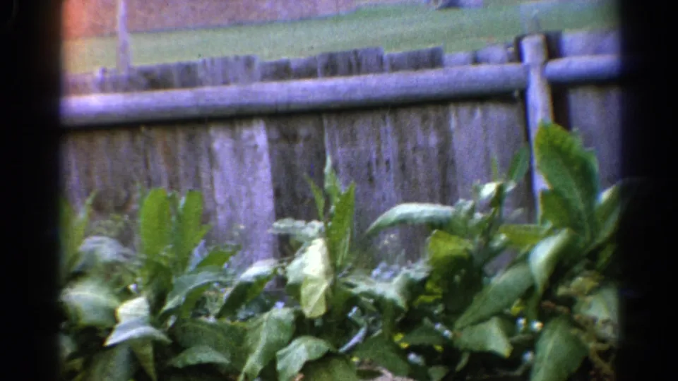 Final frame from the 1962 Catskill home movie showing foliage, fencing, stonework, and worn exterior boards of a house.