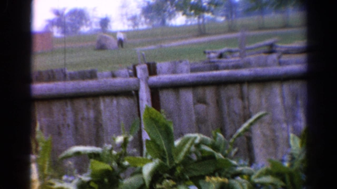 Backyard fence and plants with a distant person on the lawn.