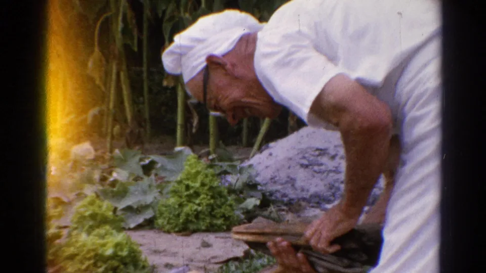 Catskill, New York 1962 home-movie frame of a man in white clothing bending over leafy garden plants with tools nearby.