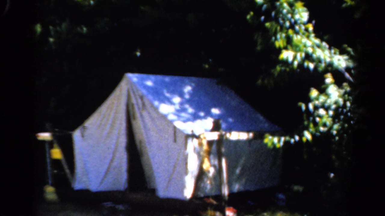 White canvas tent set among dark trees with dappled sunlight on the fabric.