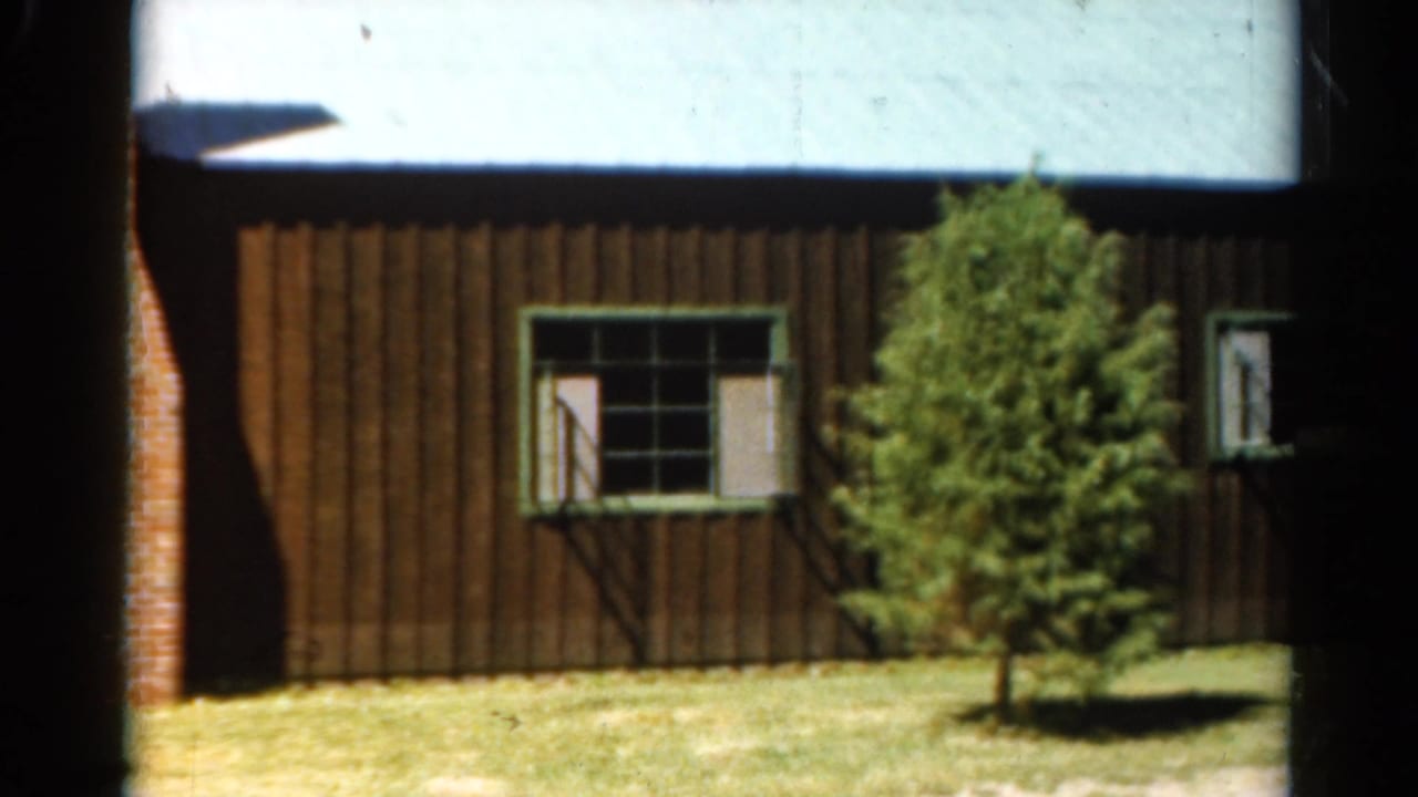 1962 Catskill-region view of a brown wooden facade with a green-trimmed window, brick chimney edge, evergreen, and lawn.