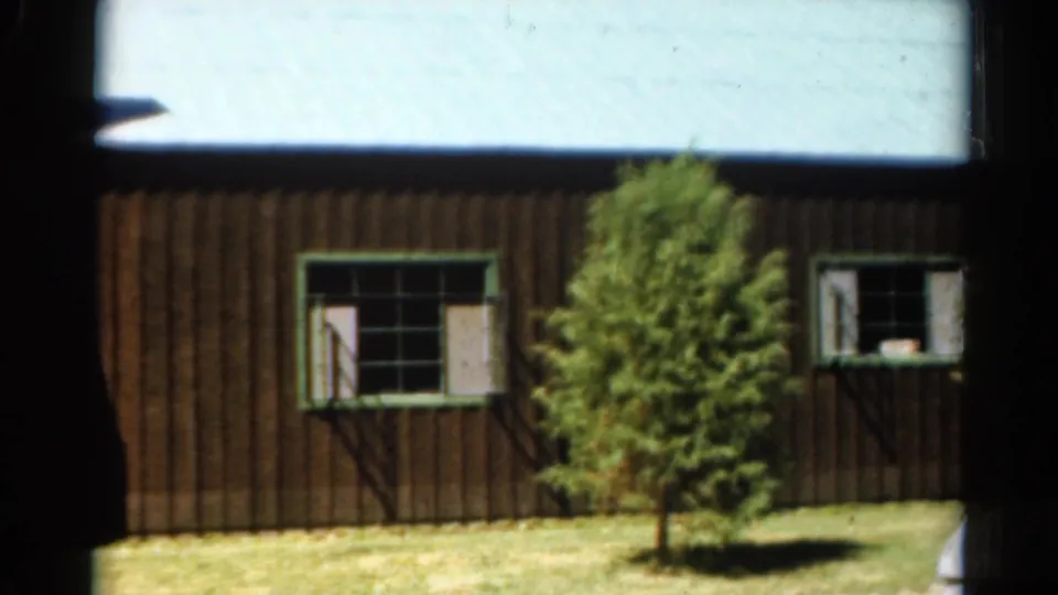 1962 Catskill-region frame with brown vertical siding, two green-trimmed windows, an evergreen tree, and sunlit grass.