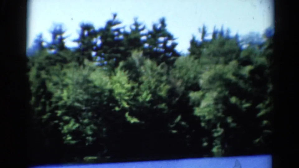 1962 Catskill-region 8mm frame shifting from the building to a dense green treeline under bright daylight.