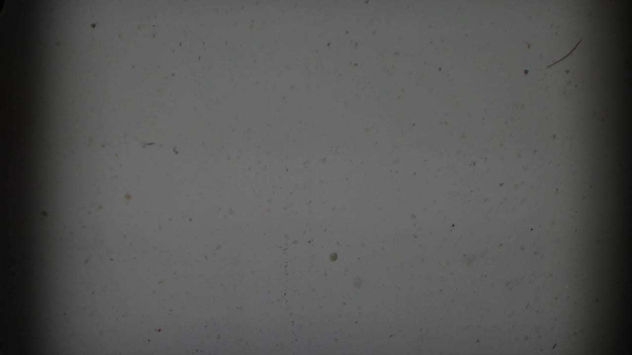 A dark, dusty 8mm frame area with the lower edge revealing part of the Catskill beaver enclosure footage.