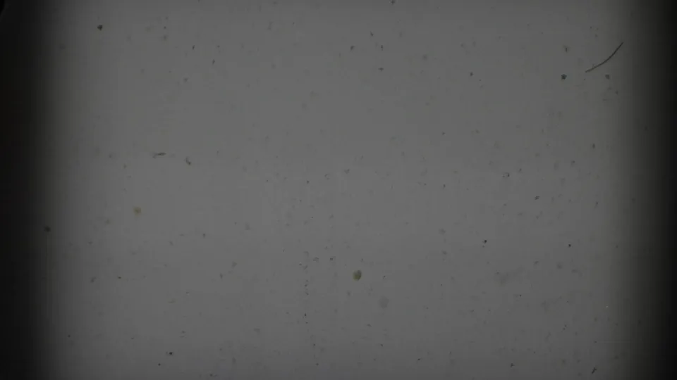 A dark, dusty 8mm frame area with the lower edge revealing part of the Catskill beaver enclosure footage.
