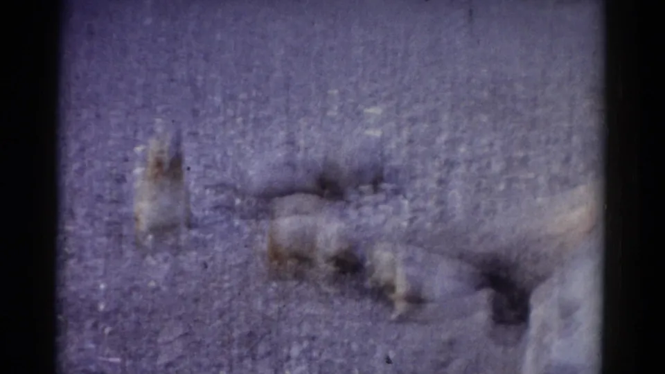 1962 Catskill frame showing softly blurred groundhogs on rocky ground, including an upright animal and a partially cropped groundhog at right.
