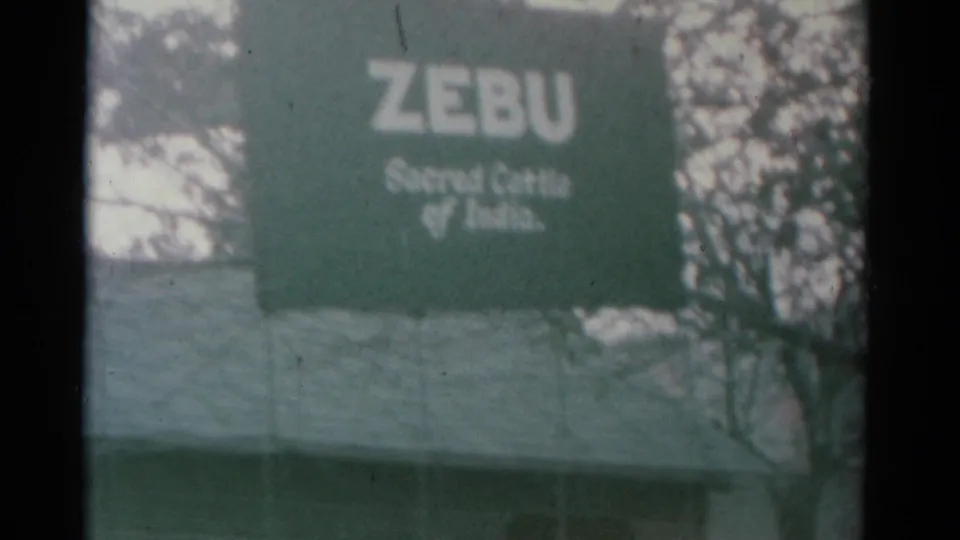 Faded 1962 Catskill 8mm frame centered on the green ZEBU exhibit sign with tree branches around it.