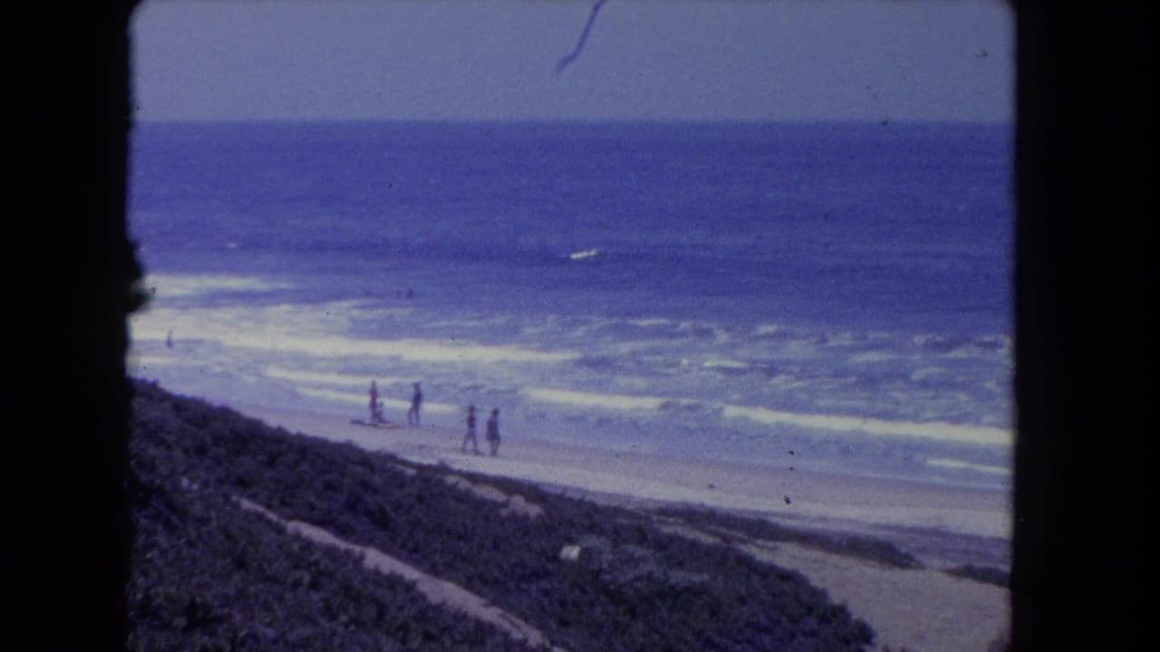 Wide beach view with ocean surf, sand, vegetation, and small figures walking near the shore.