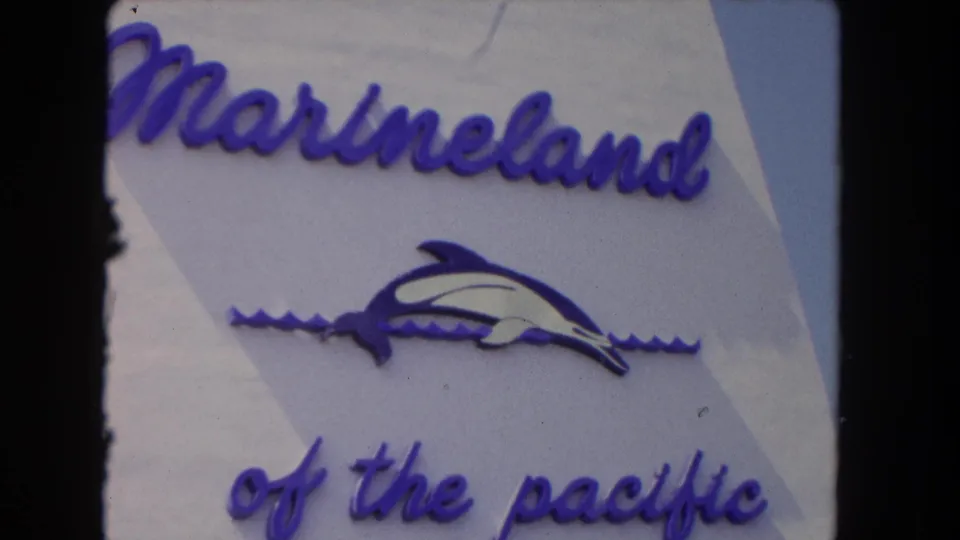 1962 8mm close-up of the Marineland of the Pacific sign in the Los Angeles area, with purple script lettering and a dolphin logo.