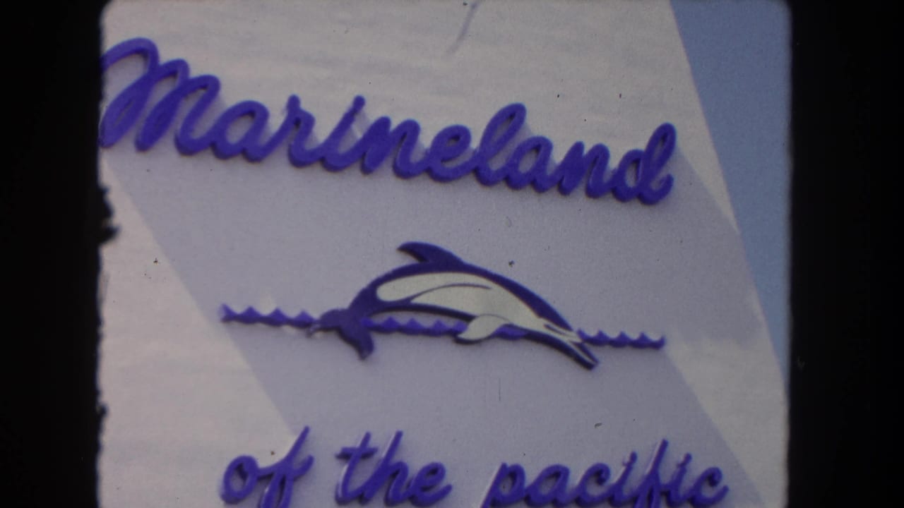 Visitor-shot 8mm frame of the Marineland sign, with the purple logo elements centered against a pale sign surface.