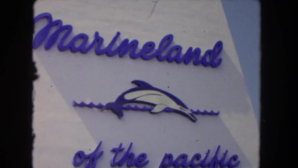 Visitor-shot 8mm frame of the Marineland sign, with the purple logo elements centered against a pale sign surface.