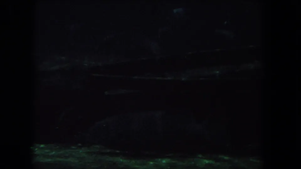 1962 Los Angeles 8mm frame showing a dim aquarium or viewing-window scene with dark water and indistinct fish forms.