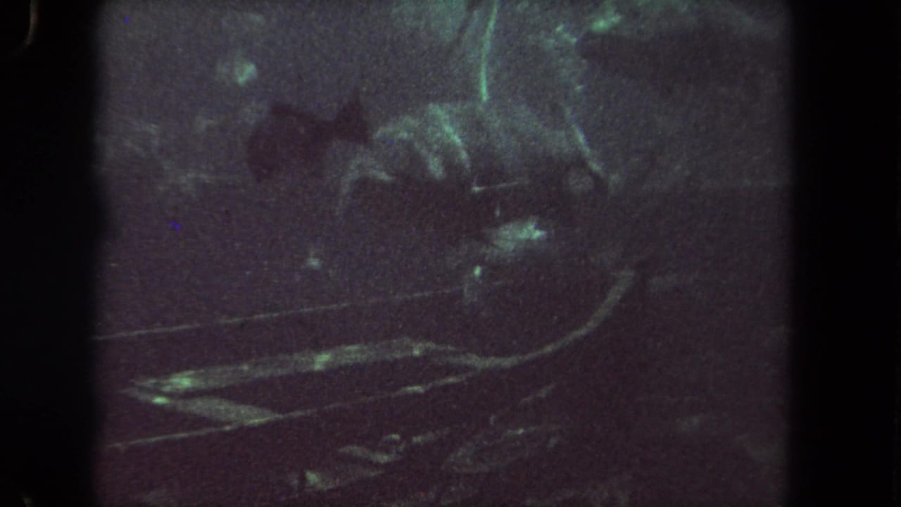 Fish swimming in dark, grainy water with black film edges visible.