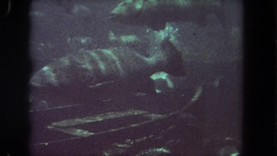 Grainy 1962 8mm underwater frame with several fish partly obscured by murky green-blue water.