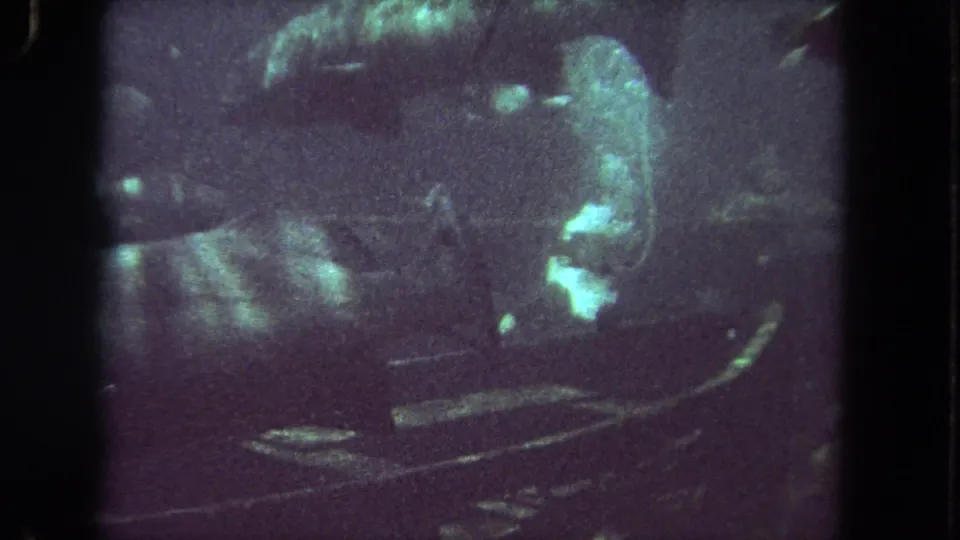 1962 8mm underwater frame showing a larger pale fish-like form and smaller fish in dim, grainy water.
