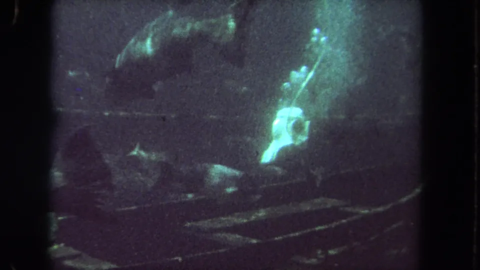 Final 1962 8mm frame with a bright fish shape and darker fish forms moving through murky underwater light.