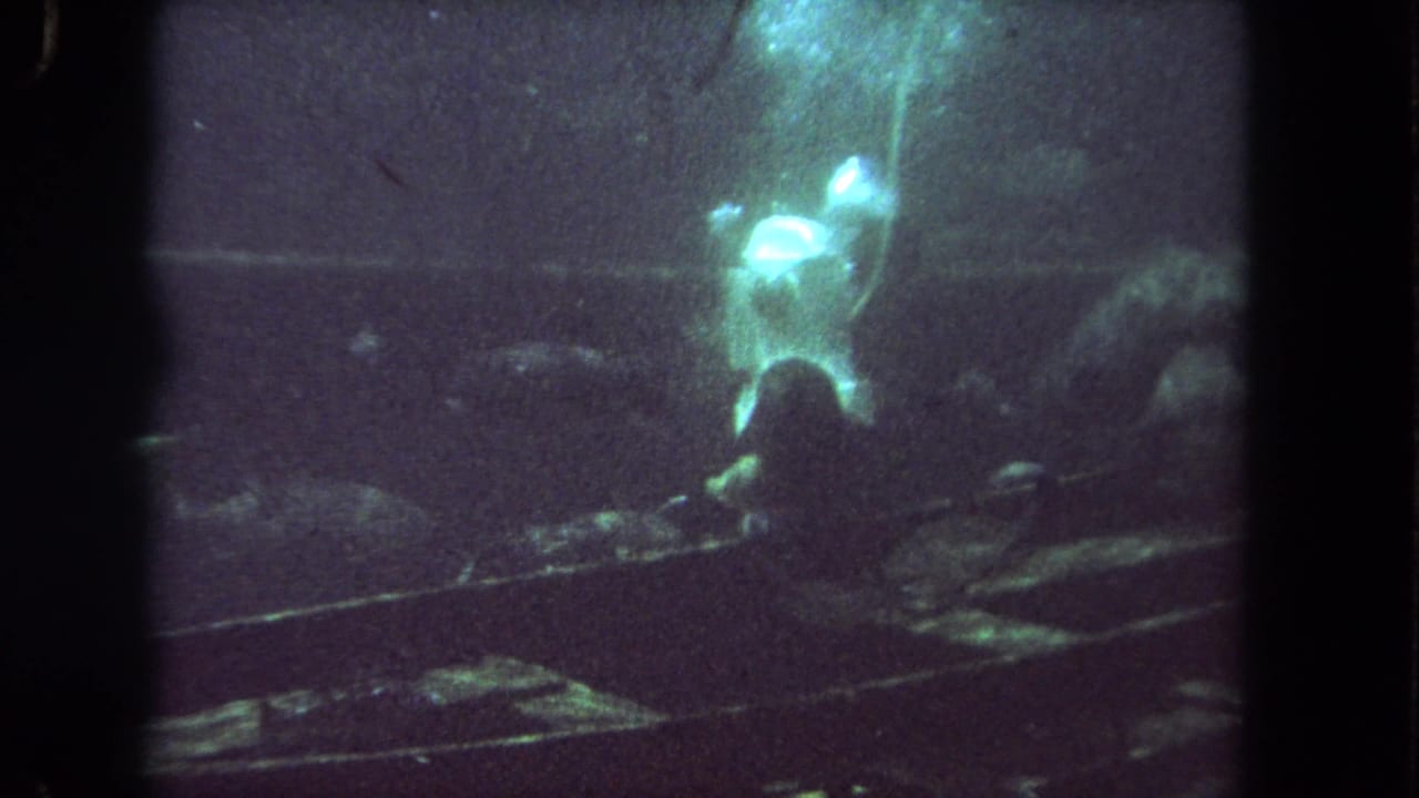 Scuba diver near dark underwater wreckage as fish gather in murky water.