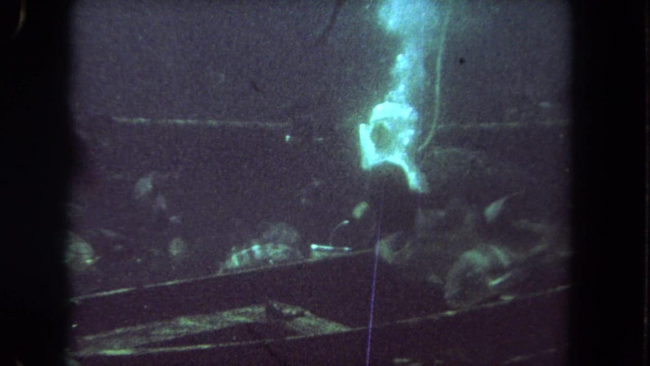 Diver and fish beside a dark sunken structure in low-visibility water.