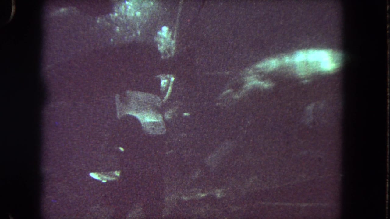 Helmeted diver underwater as a large fish moves nearby in dark, grainy footage.