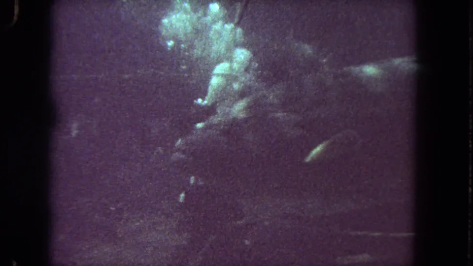 Purple-tinted 8mm underwater frame with the diver and nearby fish partly obscured by low exposure and film grain.