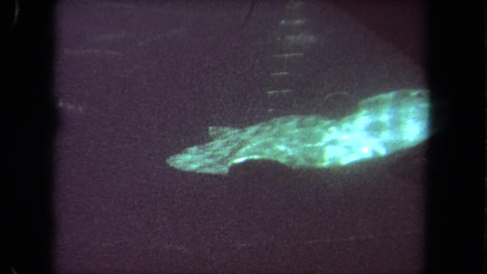1962 8mm frame showing a close, partially cropped glowing shark-like aquatic animal in dark water with pronounced grain.