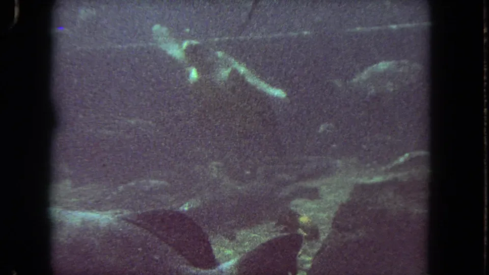 1962 8mm still showing dim underwater shapes, faint green-blue highlights, and dark plant-like or aquarium forms in murky water.