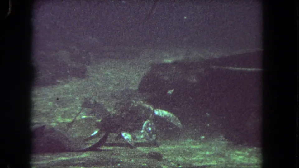 1962 Los Angeles 8mm frame showing a turtle along the bottom and fish in the background, with soft grain and greenish color.