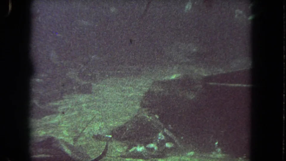 Grainy 1962 underwater home-movie frame from Los Angeles with fish and an indistinct large aquatic animal in green-tinted light.