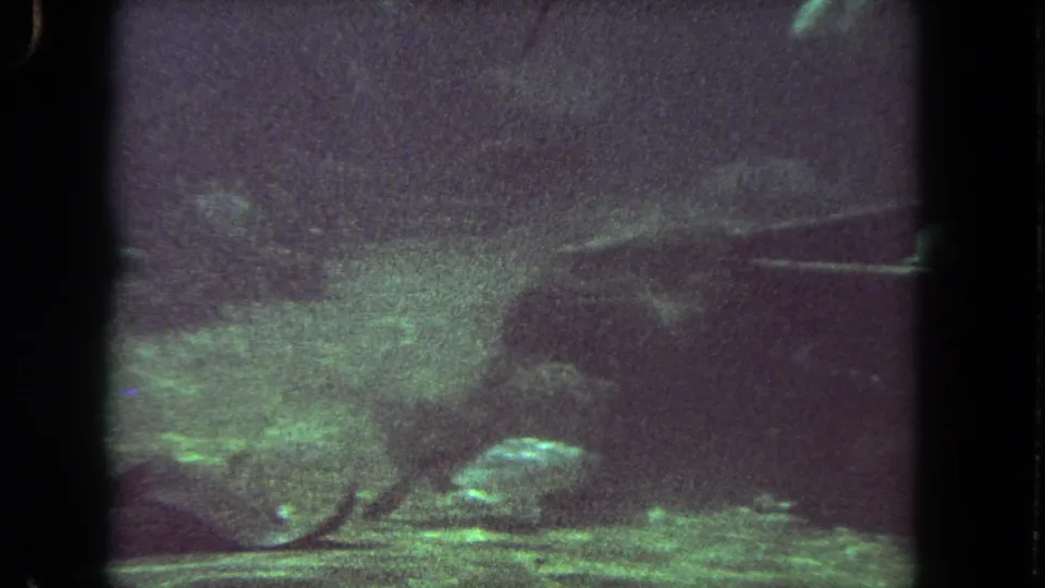 1962 Los Angeles 8mm underwater frame with heavy grain, green cast, fish, and a large marine animal partly obscured in shadow.