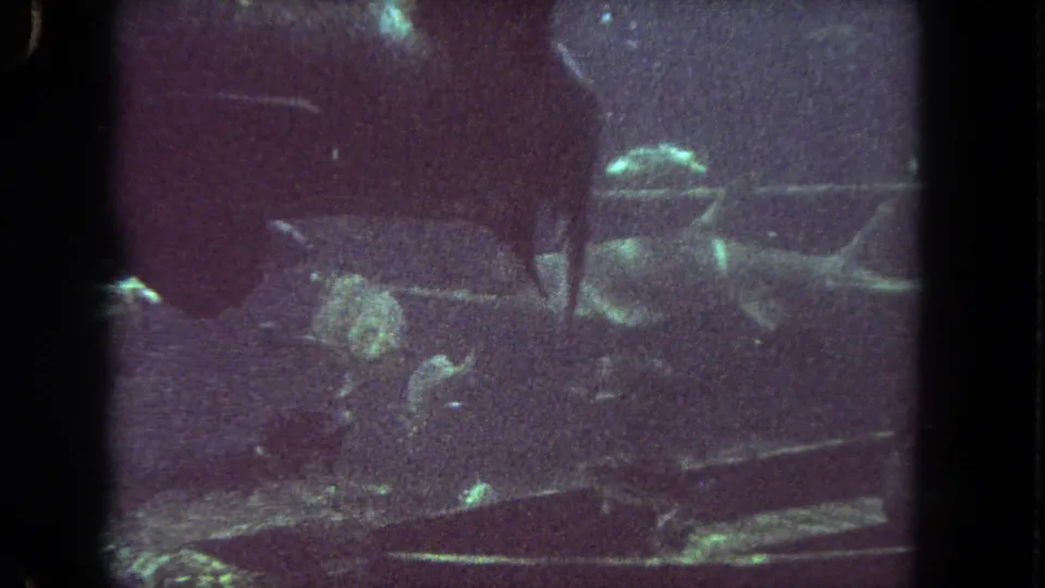 Grainy 1962 Los Angeles underwater frame showing a large dark aquatic animal, nearby fish, and reflective debris or tank features.