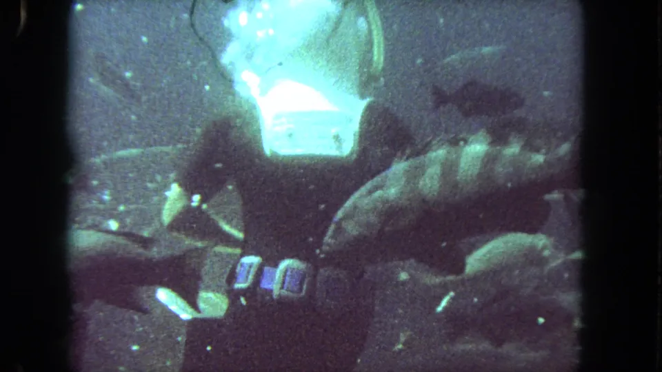 Grainy 1962 8mm underwater frame showing the diver's mask, straps, and tank area among several fish in murky water.