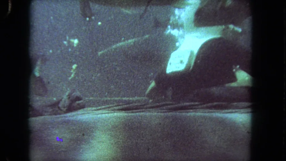 Grainy 1962 underwater frame with dark fish shapes and a bright pale fish in green-blue water.
