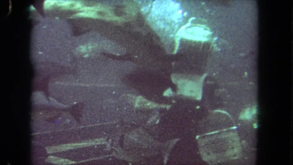1962 Los Angeles 8mm underwater footage showing fish and reef-like surroundings in soft blue-green light.