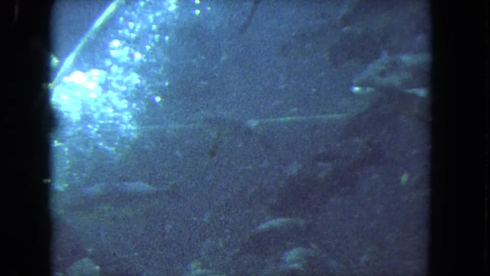 1962 Los Angeles 8mm underwater frame with bubbles rising through blue water and fish visible near the edge.